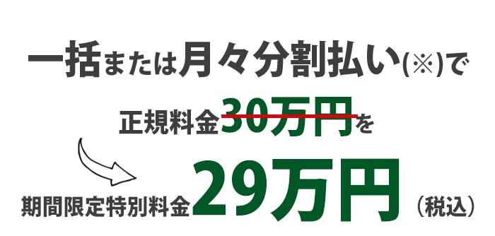 特別料金29万円